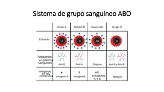 Sistema de grupo sanguíneo ABO
 