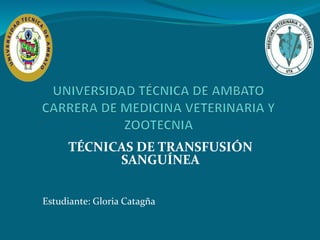 TÉCNICAS DE TRANSFUSIÓN
SANGUÍNEA
Estudiante: Gloria Catagña
 