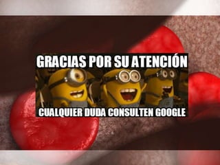 Transfusion y hemoderivados