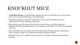  A knockout mouse is a genetically engineered mouse in which one or more genes
have been turned off through a gene knockout
 Important animal models for studying the role of genes which have been
sequenced, but have unknown functions
 By causing a specific gene to be inactive in the mouse, and observing any
differences from normal behaviour or condition, researchers can infer its probable
function.
 Gene knockout is a technique for selectively inactivating a gene by replacing it
with a mutant allele in an otherwise normal organism (mice)
 Knockout mice are a useful model system for studying certain human genetic
diseases.
 