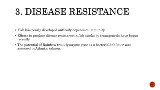  Fish has poorly developed antibody dependent immunity.
 Efforts to produce disease resistance in fish stocks by transgenesis have begun
recently.
 The potential of Rainbow trout lysozyme gene as a bacterial inhibitor was
assessed in Atlantic salmon.
 