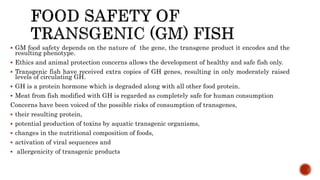  GM food safety depends on the nature of the gene, the transgene product it encodes and the
resulting phenotype.
 Ethics and animal protection concerns allows the development of healthy and safe fish only.
 Transgenic fish have received extra copies of GH genes, resulting in only moderately raised
levels of circulating GH.
 GH is a protein hormone which is degraded along with all other food protein.
 Meat from fish modified with GH is regarded as completely safe for human consumption
Concerns have been voiced of the possible risks of consumption of transgenes,
 their resulting protein,
 potential production of toxins by aquatic transgenic organisms,
 changes in the nutritional composition of foods,
 activation of viral sequences and
 allergenicity of transgenic products
 