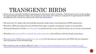  Avian ova are normally fertilized approximately 30 minutes after ovulation. Cell division occurs in the oviduct
for approximately 20 hours before ovi position. At this time, the embryo is comprised of approximately 60,000
pluripotent cells, which are collectively called the blastoderm.
 The presence of a large yolk and multiple pronuclei makes direct microinjection of DNA impractical.
 Therefore, DNA microinjection into fertilized bird eggs to produce transgenic strains is not possible;
 During fertilization in birds several sperms can penetrate the ovum, instead of only one as in case of mammals.
 Therefore, it is not possible to identify the male pronucleus that will fuse with the female pronucleus.
 Microinjection of DNA into cytoplasm is not enough for the process to proceed as the DNA will not integrate
into the genome of the fertilized egg.
 The technique also would be difficult as the avian ovum after fertilization become enveloped in tough
membrane and surrounded by large quantities of albumin and enclosed in inner and out shell membranes.
 