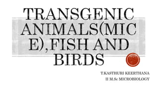 T.KASTHURI KEERTHANA
II M.Sc MICROBIOLOGY
 