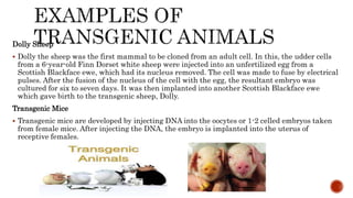 Dolly Sheep
 Dolly the sheep was the first mammal to be cloned from an adult cell. In this, the udder cells
from a 6-year-old Finn Dorset white sheep were injected into an unfertilized egg from a
Scottish Blackface ewe, which had its nucleus removed. The cell was made to fuse by electrical
pulses. After the fusion of the nucleus of the cell with the egg, the resultant embryo was
cultured for six to seven days. It was then implanted into another Scottish Blackface ewe
which gave birth to the transgenic sheep, Dolly.
Transgenic Mice
 Transgenic mice are developed by injecting DNA into the oocytes or 1-2 celled embryos taken
from female mice. After injecting the DNA, the embryo is implanted into the uterus of
receptive females.
 