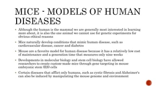  Although the human is the mammal we are generally most interested in learning
more about, it is also the one animal we cannot use for genetic experiments for
obvious ethical reasons
 Mice naturally develop conditions that mimic human disease, such as
cardiovascular disease, cancer and diabetes
 Mouse are a favorite model for human disease because it has a relatively low cost
of maintenance and a generation time that measures only nine weeks
 Developments in molecular biology and stem cell biology have allowed
researchers to create custom-made mice through gene targeting in mouse
embryonic stem (ES) cells
 Certain diseases that afflict only humans, such as cystic fibrosis and Alzheimer's
can also be induced by manipulating the mouse genome and environment
 