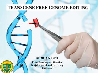 TRANSGENE FREE GENOME EDITING
MOHD KYUM
Plant Breeding and Genetics
Punjab Agricultural University
Ludhiana
1
 