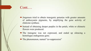 Cont.…
 Jorgensen tried to obtain transgenic petunias with greater amounts
of anthocyanin pigments, by amplifying the gene activity of
chalcone synthase.
 Instead of obtaining deeper purples in the petals, white or chimeric
flowers were produced.
 The transgene was not expressed, and ended up silencing a
homologue endogenous gene.
 The phenomenon, named “co-suppression”
 