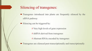 Silencing of transgenes:
 Transgenes introduced into plants are frequently silenced by the
siRNA pathway
 Silencing can be triggered by:
# Very high levels of gene expression
# dsRNA derived from transgenes
# Aberrant RNAs encoded by transgenes
 Transgenes are silenced post-transcriptionally and transcriptionally
 