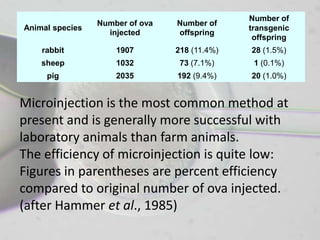 Number of
                 Number of ova   Number of
Animal species                                 transgenic
                   injected      offspring
                                                offspring
    rabbit           1907        218 (11.4%)   28 (1.5%)
    sheep            1032         73 (7.1%)     1 (0.1%)
     pig             2035        192 (9.4%)    20 (1.0%)


Microinjection is the most common method at
present and is generally more successful with
laboratory animals than farm animals.
The efficiency of microinjection is quite low:
Figures in parentheses are percent efficiency
compared to original number of ova injected.
(after Hammer et al., 1985)
 