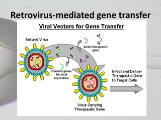 Retrovirus-mediated gene transfer
 