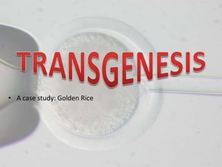 • A case study: Golden Rice
 