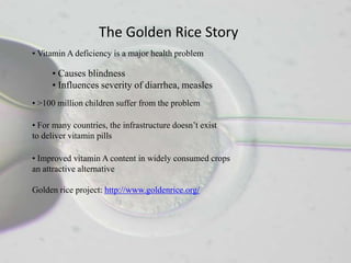 The Golden Rice Story
• Vitamin A deficiency is a major health problem

     • Causes blindness
     • Influences severity of diarrhea, measles
• >100 million children suffer from the problem

• For many countries, the infrastructure doesn’t exist
to deliver vitamin pills

• Improved vitamin A content in widely consumed crops
an attractive alternative

Golden rice project: http://www.goldenrice.org/
 