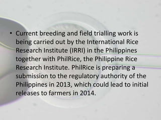 • Current breeding and field trialling work is
  being carried out by the International Rice
  Research Institute (IRRI) in the Philippines
  together with PhilRice, the Philippine Rice
  Research Institute. PhilRice is preparing a
  submission to the regulatory authority of the
  Philippines in 2013, which could lead to initial
  releases to farmers in 2014.
 