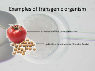 Examples of transgenic organism


             Extended shelf-life tomato (Flavr-Savr)




                Herbicide resistant soybean (Roundup Ready)
 