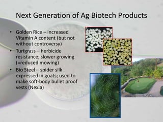 Next Generation of Ag Biotech Products
• Golden Rice – increased
  Vitamin A content (but not
  without controversy)
• Turfgrass – herbicide
  resistance; slower growing
  (=reduced mowing)
• Bio Steel – spider silk
  expressed in goats; used to
  make soft-body bullet proof
  vests (Nexia)
 