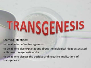 Learning Intentions:
to be able to define transgenesis
to be able to give explanations about the biological ideas associated
with how transgenesis works
to be able to discuss the positive and negative implications of
transgenesis
 