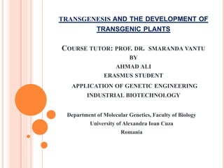 TRANSGENESIS AND THE DEVELOPMENT OF
TRANSGENIC PLANTS
COURSE TUTOR: PROF. DR. SMARANDA VANTU
BY
AHMAD ALI
ERASMUS STUDENT
APPLICATION OF GENETIC ENGINEERING
INDUSTRIAL BIOTECHNOLOGY
Department of Molecular Genetics, Faculty of Biology
University of Alexandra Ioan Cuza
Romania
 