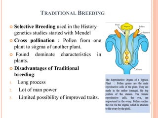 Tarns-genesis and development of transgenic plant | PPTX