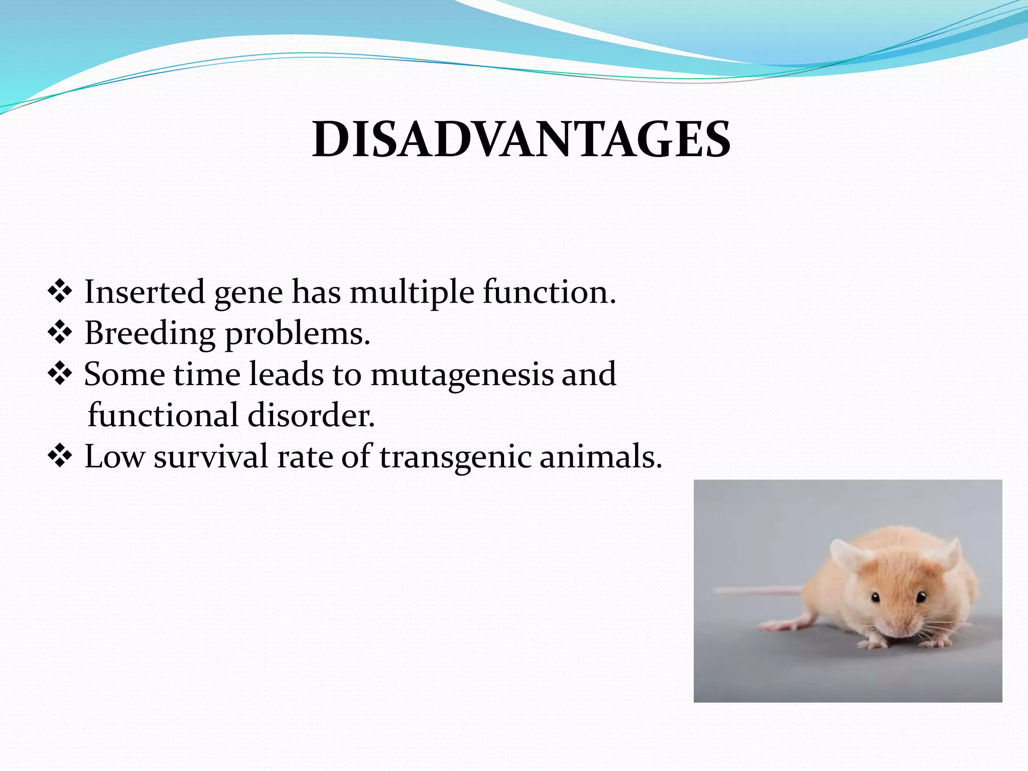  Inserted gene has multiple function.
 Breeding problems.
 Some time leads to mutagenesis and
functional disorder.
 Low survival rate of transgenic animals.
DISADVANTAGES
 
