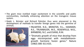 • The giant mice instilled major excitement in the scientific and public
communities, markedly enhancing attention on the transgenic mouse
system.
• Ralph L. Brinster and Richard Palmiter thus were pioneered in the
development of methods to transfer foreign genes into the germline of
animals.
• PALMITER, R.D., BRINSTER, R.L., HAMMER,
R.E., TRUMBAUER, M.E., ROSENFELD, M.G.,
BIRNBERG, N.C. and EVANS, R.M.
• “Dramatic growth of mice that develop from
eggs microinjected with metallothionin-
growth hormone fusion genes.” Nature
(1982) 300: 611-615.
 