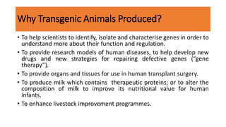 Why Transgenic Animals Produced?
• To help scientists to identify, isolate and characterise genes in order to
understand more about their function and regulation.
• To provide research models of human diseases, to help develop new
drugs and new strategies for repairing defective genes (“gene
therapy”).
• To provide organs and tissues for use in human transplant surgery.
• To produce milk which contains therapeutic proteins; or to alter the
composition of milk to improve its nutritional value for human
infants.
• To enhance livestock improvement programmes.
 