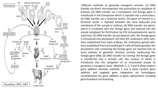 Houdebine 2003, 2005
Different methods to generate transgenic animals: (1) DNA
transfer via direct microinjection into pronucleus or cytoplasm of
embryo; (2) DNA transfer via a transposon: the foreign gene is
introduced in the transposon which is injected into a pronucleus;
(3) DNA transfer via a lentiviral vector: the gene of interest in a
lentiviral vector is injected between the zona pellucida and
membrane of the oocyte or embryo; (4) DNA transfer via sperm:
sperm is incubated with the foreign gene and injected into the
oocyte cytoplasm for fertilization by ICSI (intracytoplasmic sperm
injection); (5) DNA transfer via pluripotent cells: the foreign gene
is introduced into pluripotent cell lines (ES: embryonic stem cells:
lines established from early embryo, EG: embryonic gonad cells:
lines established from primordial germ cells of foetal gonads); the
pluripotent cells containing the foreign gene are injected into an
early embryo to generate chimeric animals harbouring the
foreign gene DNA; (6) DNA transfer via cloning: the foreign gene
is transferred into a somatic cell, the nucleus of which is
introduced into the cytoplasm of an enucleated oocyte to
generate a transgenic clone. Methods 1, 2, 3 and 4 allow random
gene addition whereas methods 5 and 6 allow random gene
addition and targeted gene integration via homologous
recombination for gene addition or gene replacement including
gene knockout and knocking.
 