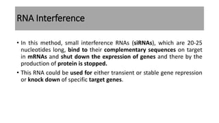 RNA Interference
• In this method, small interference RNAs (siRNAs), which are 20-25
nucleotides long, bind to their complementary sequences on target
in mRNAs and shut down the expression of genes and there by the
production of protein is stopped.
• This RNA could be used for either transient or stable gene repression
or knock down of specific target genes.
 