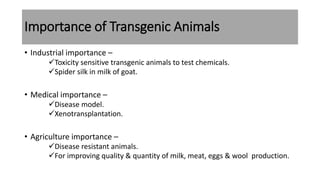 Importance of Transgenic Animals
• Industrial importance –
Toxicity sensitive transgenic animals to test chemicals.
Spider silk in milk of goat.
• Medical importance –
Disease model.
Xenotransplantation.
• Agriculture importance –
Disease resistant animals.
For improving quality & quantity of milk, meat, eggs & wool production.
 