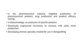 • In the pharmaceutical industry, targeted production of
pharmaceutical proteins, drug production and product efficacy
testing;
• In biotechnology: as producers of specific proteins;
• Genetically engineered hormones to increase milk yield, meat
production.
• Developing animals specially created for use in Xenografting
 
