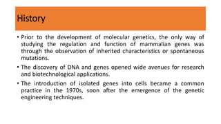 History
• Prior to the development of molecular genetics, the only way of
studying the regulation and function of mammalian genes was
through the observation of inherited characteristics or spontaneous
mutations.
• The discovery of DNA and genes opened wide avenues for research
and biotechnological applications.
• The introduction of isolated genes into cells became a common
practice in the 1970s, soon after the emergence of the genetic
engineering techniques.
 