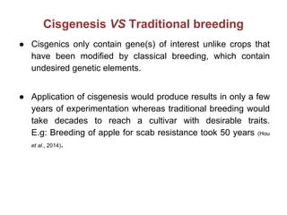 Cisgenesis VS Traditional breeding
● Cisgenics only contain gene(s) of interest unlike crops that
have been modified by classical breeding, which contain
undesired genetic elements.
● Application of cisgenesis would produce results in only a few
years of experimentation whereas traditional breeding would
take decades to reach a cultivar with desirable traits.
E.g: Breeding of apple for scab resistance took 50 years (Hou
et al., 2014).
 