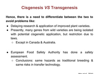 Cisgenesis VS Transgenesis
Hence, there is a need to differentiate between the two to
avoid problems like:
● Delaying research & application of improved plant varieties.
● Presently, many genes from wild varieties are being isolated
with potential cisgenetic application, but restriction due to
laws.
○ Except in Canada & Australia.
● European Food Safety Authority has done a safety
assessment.
○ Conclusions: same hazards as traditional breeding &
same risks in transfer technology.
 