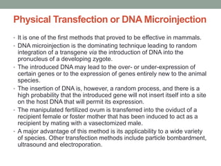 Physical Transfection or DNA Microinjection
• It is one of the first methods that proved to be effective in mammals.
• DNA microinjection is the dominating technique leading to random
integration of a transgene via the introduction of DNA into the
pronucleus of a developing zygote.
• The introduced DNA may lead to the over- or under-expression of
certain genes or to the expression of genes entirely new to the animal
species.
• The insertion of DNA is, however, a random process, and there is a
high probability that the introduced gene will not insert itself into a site
on the host DNA that will permit its expression.
• The manipulated fertilized ovum is transferred into the oviduct of a
recipient female or foster mother that has been induced to act as a
recipient by mating with a vasectomized male.
• A major advantage of this method is its applicability to a wide variety
of species. Other transfection methods include particle bombardment,
ultrasound and electroporation.
 