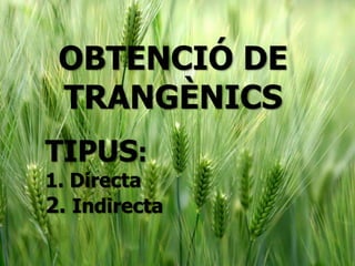 OBTENCIÓ DE
TRANGÈNICS
TIPUS:
1. Directa
2. Indirecta
 