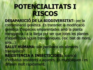 POTENCIALITATS I
RISCOS
DESAPARICIÓ DE LA BIODIVERSITAT: per la
contaminació genètica. Es transmet la modificació
genètica d'espècies emparentades amb la planta
transgènica i a la llarga pot ser que totes les plantes
d’aquell tipus siguin transgèniques. (ex: blat de moro,
soja…)
SALUT HUMANA: són perillosos els aliments
transgènics?
RESISTENCIA A INSECTICIDES: aparició
d’individus resistents a aquests. Es multipliquen i es
difonen molt ràpidament.
 