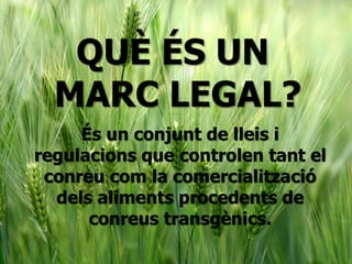 QUÈ ÉS UN
MARC LEGAL?
És un conjunt de lleis i
regulacions que controlen tant el
conreu com la comercialització
dels aliments procedents de
conreus transgènics.
 