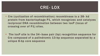 Transgenic.pptx