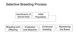 TRANSGENIC-ANIMALS.ppt vector mediated . | PPTX