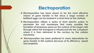 Electroporation
 Electroporation has been shown to be the most effective
means of gene transfer in fish since a large number of
fertilized eggs can be treated in a short time by this method
 Electroporation utilizes a series of short electric pulses to
permeate the cell membrane that make possible the
formation of temporary pores on the surface of the target cells
through which the transgene is introduced into the cytoplasm
where it is then delivered to the nucleus by the cellular
machinery
 Electroporation has been preferred in many laboratories for
gene transfer in fish systems because of its efficiency, speed
and simplicity
 