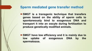Sperm mediated gene transfer method
SMGT is a transgenic technique that transfers
genes based on the ability of sperm cells to
spontaneously bind to exogenous DNA and
transport it into an oocyte during fertilization to
produce genetically modified animals.
SMGT have low efficiency and it is mainly due to
low uptake of exogenous DNA by the
spermatozoa.
 