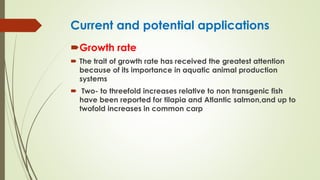Current and potential applications
Growth rate
 The trait of growth rate has received the greatest attention
because of its importance in aquatic animal production
systems
 Two- to threefold increases relative to non transgenic fish
have been reported for tilapia and Atlantic salmon,and up to
twofold increases in common carp
 