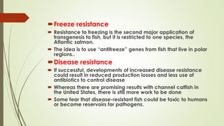 Freeze resistance
 Resistance to freezing is the second major application of
transgenesis to fish, but it is restricted to one species, the
Atlantic salmon.
 The idea is to use “antifreeze” genes from fish that live in polar
regions..
Disease resistance
 If successful, developments of increased disease resistance
could result in reduced production losses and less use of
antibiotics to control disease
 Whereas there are promising results with channel catfish in
the United States, there is still more work to be done
 Some fear that disease-resistant fish could be toxic to humans
or become reservoirs for pathogens.
 