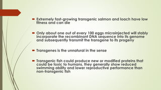  Extremely fast-growing transgenic salmon and loach have low
fitness and can die
 Only about one out of every 100 eggs microinjected will stably
incorporate the recombinant DNA sequence into its genome
and subsequently transmit the transgene to its progeny
 Transgenes is the unnatural in the sense
 Transgenic fish could produce new or modified proteins that
could be toxic to humans, they generally show reduced
swimming ability and lower reproductive performance than
non-transgenic fish
 