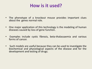 How is it used?
• The phenotype of a knockout mouse provides important clues
about the genes normal role.
• One major application of this technology is the modeling of human
diseases caused by loss of gene function.
• Examples include cystic fibrosis, beta-thalassaemia and various
forms of cancer.
• Such models are useful because they can be used to investigate the
biochemical and physiological aspects of the disease and for the
development and testing of drugs.
 