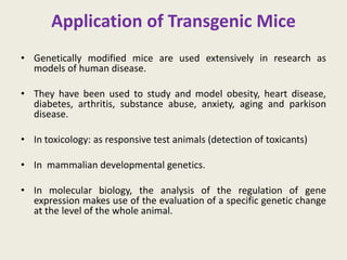 Application of Transgenic Mice
• Genetically modified mice are used extensively in research as
models of human disease.
• They have been used to study and model obesity, heart disease,
diabetes, arthritis, substance abuse, anxiety, aging and parkison
disease.
• In toxicology: as responsive test animals (detection of toxicants)
• In mammalian developmental genetics.
• In molecular biology, the analysis of the regulation of gene
expression makes use of the evaluation of a specific genetic change
at the level of the whole animal.
 