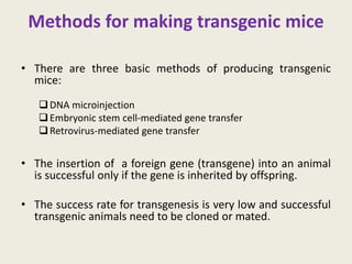 Transgenic mice