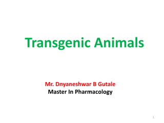 Transgenic Animals
1
Mr. Dnyaneshwar B Gutale
Master In Pharmacology
 