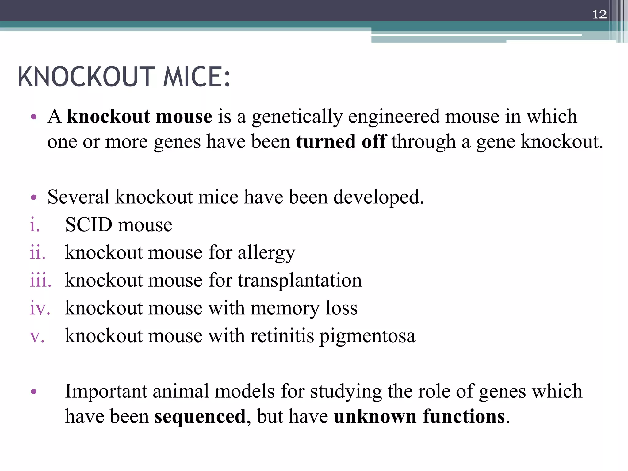 KNOCKOUT MICE:
• A knockout mouse is a genetically engineered mouse in which
one or more genes have been turned off through a gene knockout.
• Several knockout mice have been developed.
i. SCID mouse
ii. knockout mouse for allergy
iii. knockout mouse for transplantation
iv. knockout mouse with memory loss
v. knockout mouse with retinitis pigmentosa
• Important animal models for studying the role of genes which
have been sequenced, but have unknown functions.
12
 
