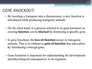 GENE KNOCKOUT:
• By inserting a transgene into a chromosome, a new function is
introduced while producing transgenic animals.
• On the other hand, in a process referred to as gene knockout an
existing function can be blocked by destroying a specific gene.
• In gene knockout, the loss-of-function occurs in transgenic
animals. This is in contrast to gain-of-function that takes place
by introducing a foreign gene.
• Gene knockout is important for understanding the development
and physiological consequences in an organism.
11
 